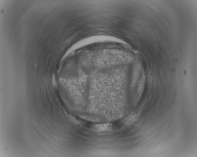 X0000072550089200608041659