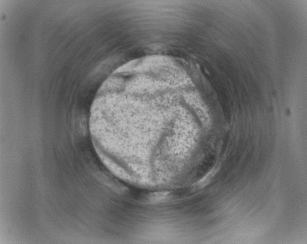 X0000072550090200608041659