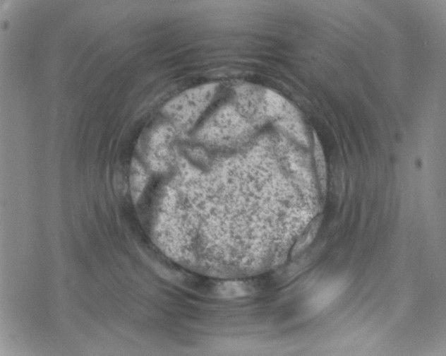 X0000072550091200608041659