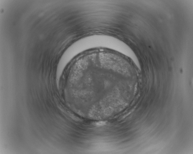 X0000072550092200608041659