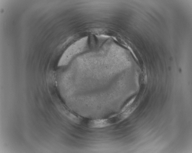 X0000072550093200608041659