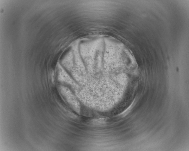 X0000072550094200608041659