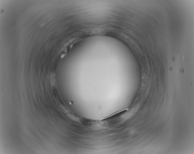 X0000072550096200608041659