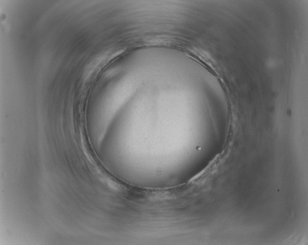 X0000072550097200608041658