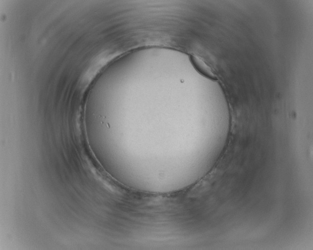 X0000072550098200608041658