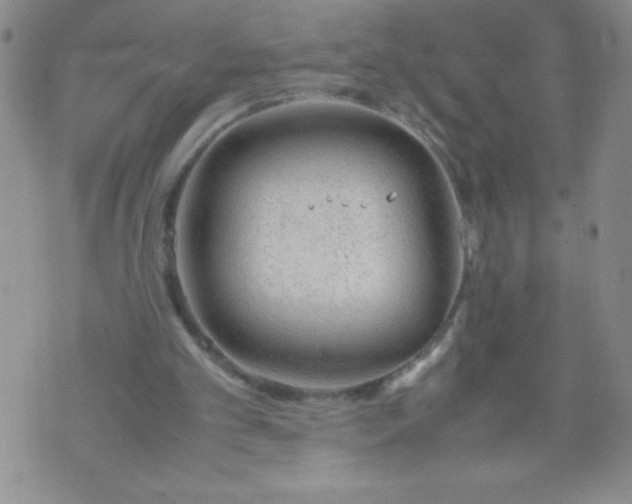 X0000072550101200608041658