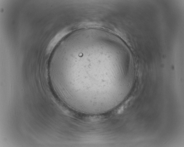 X0000072550103200608041658