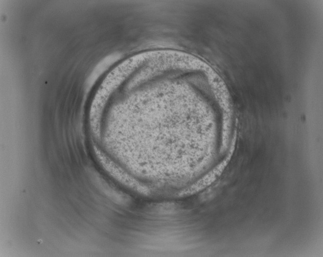 X0000072550104200608041658