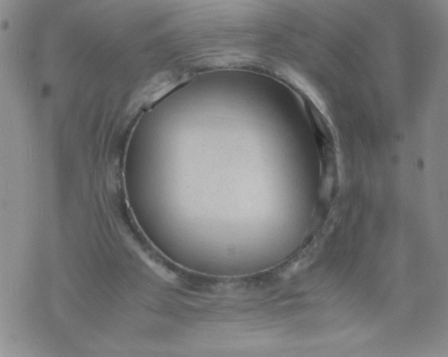 X0000072550105200608041658