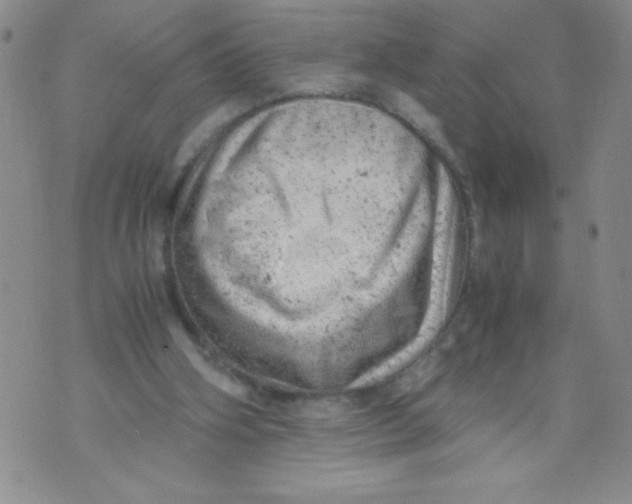 X0000072550106200608041658