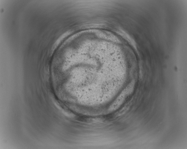 X0000072550107200608041658