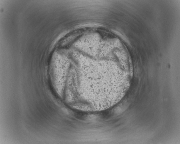 X0000072550111200608041658