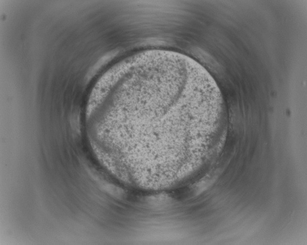 X0000072550112200608041658