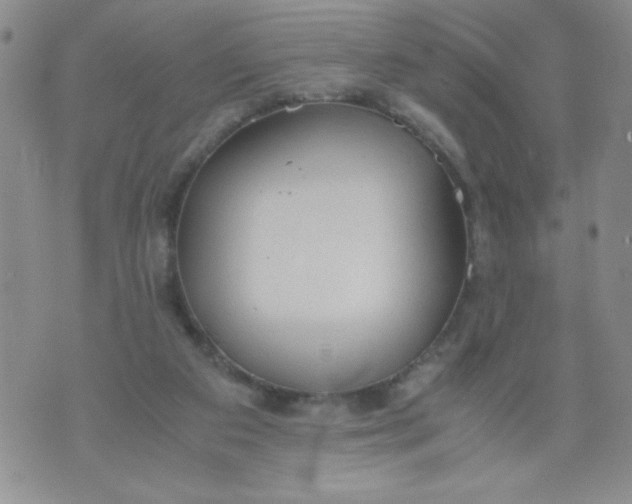 X0000072550113200608041658