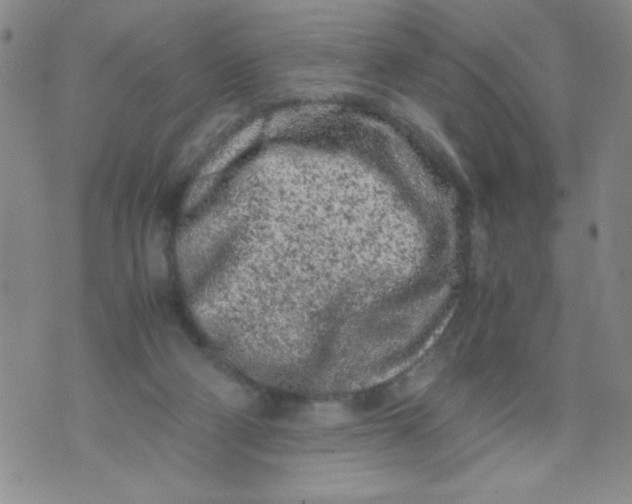 X0000072550114200608041658