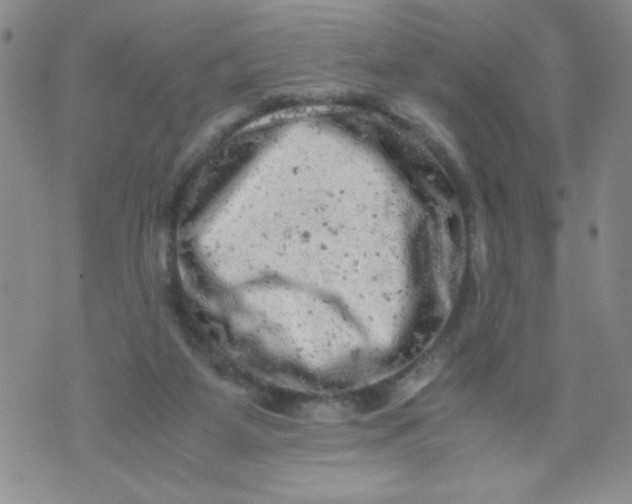 X0000072550115200608041658