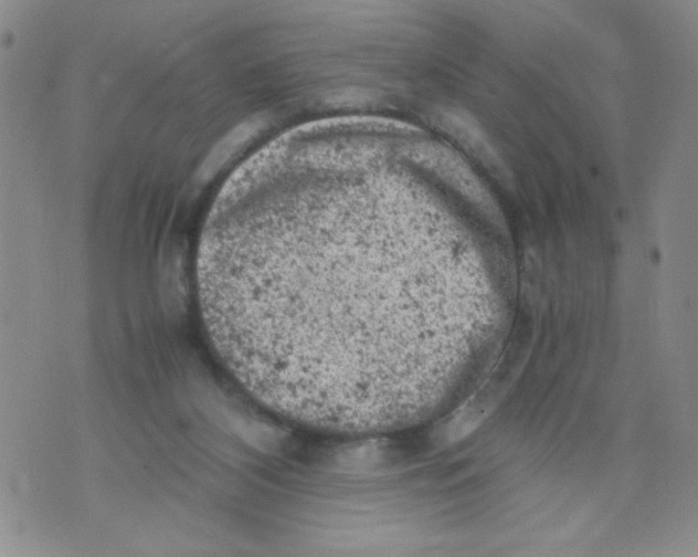 X0000072550116200608041658