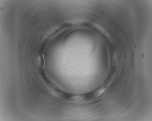 X0000072550117200608041658