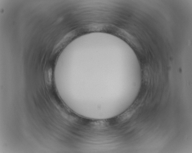 X0000072550118200608041658