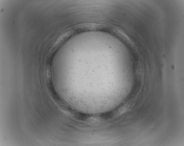 X0000072550119200608041657