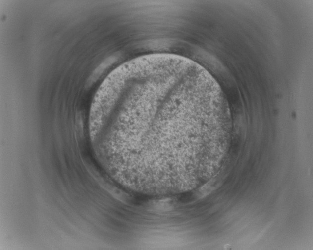 X0000072550120200608041657