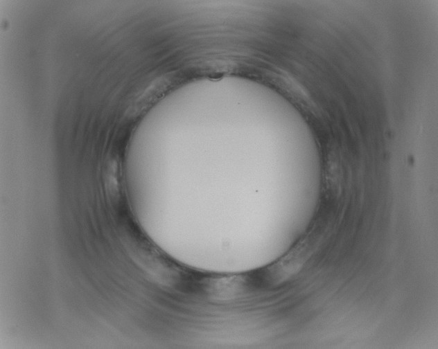 X0000072550122200608041657