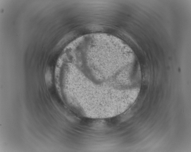 X0000072550124200608041657