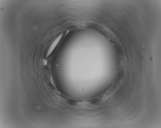 X0000072550125200608041657