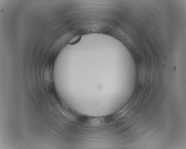 X0000072550126200608041657