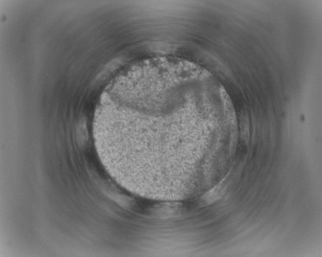 X0000072550128200608041657