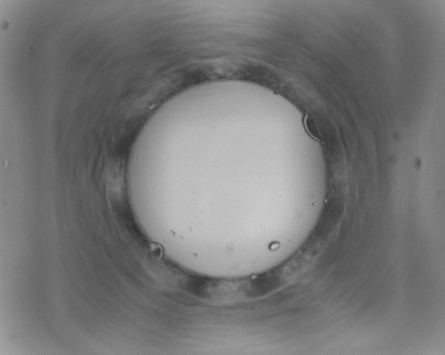 X0000072550129200608041657