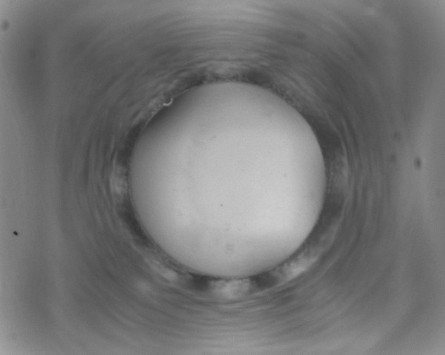 X0000072550135200608041657