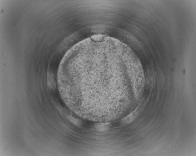 X0000072550136200608041657