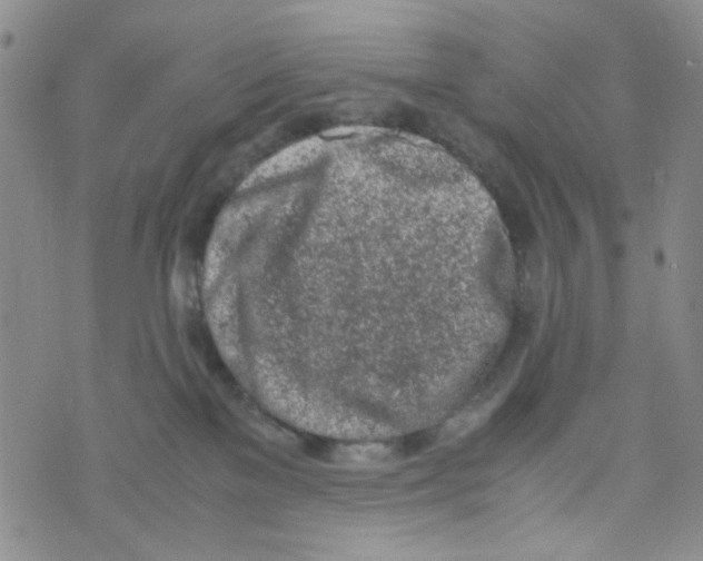 X0000072550137200608041657