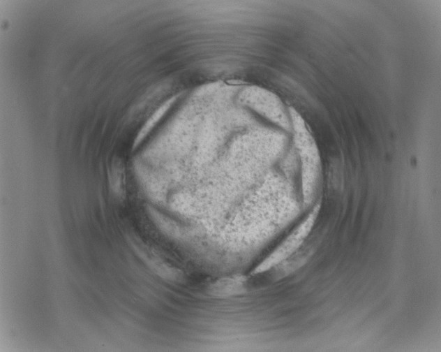 X0000072550138200608041657