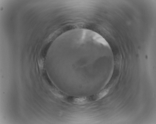 X0000072550139200608041657