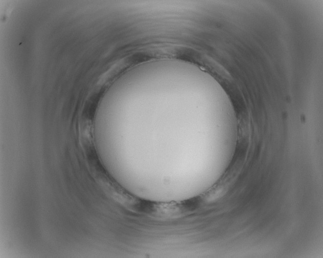 X0000072550141200608041657