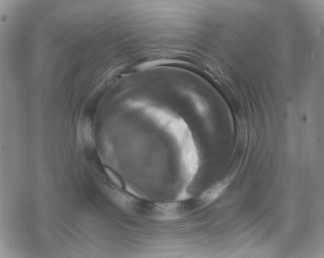 X0000072550143200608041657