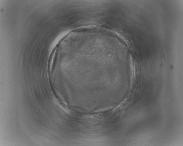 X0000072550147200608041656