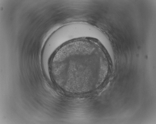 X0000072550148200608041656