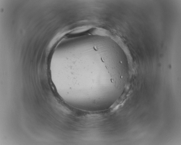 X0000072550150200608041656