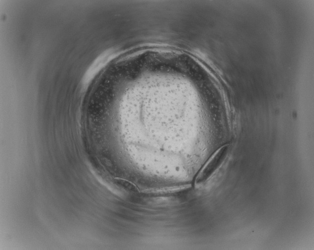 X0000072550151200608041656