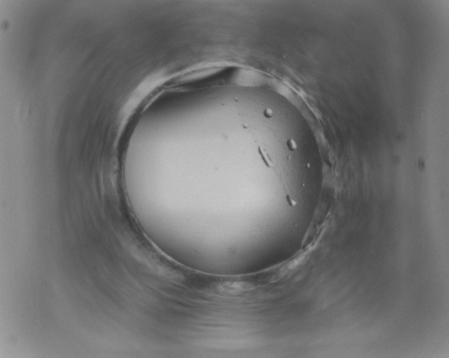 X0000072550152200608041656