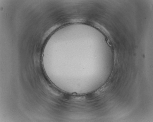 X0000072550155200608041656