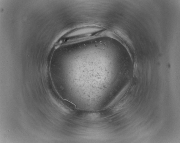 X0000072550156200608041656