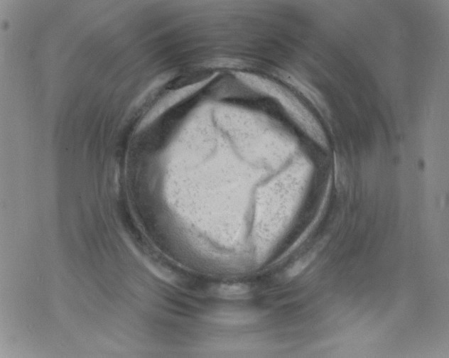 X0000072550157200608041656