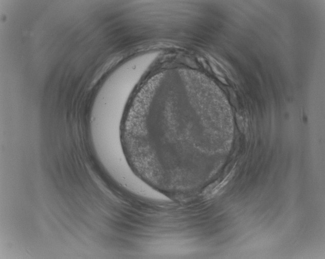 X0000072550158200608041657