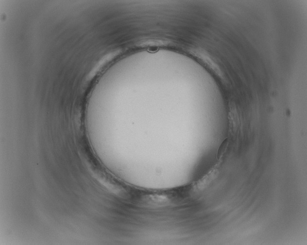 X0000072550159200608041657