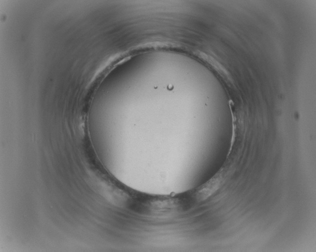 X0000072550160200608041657