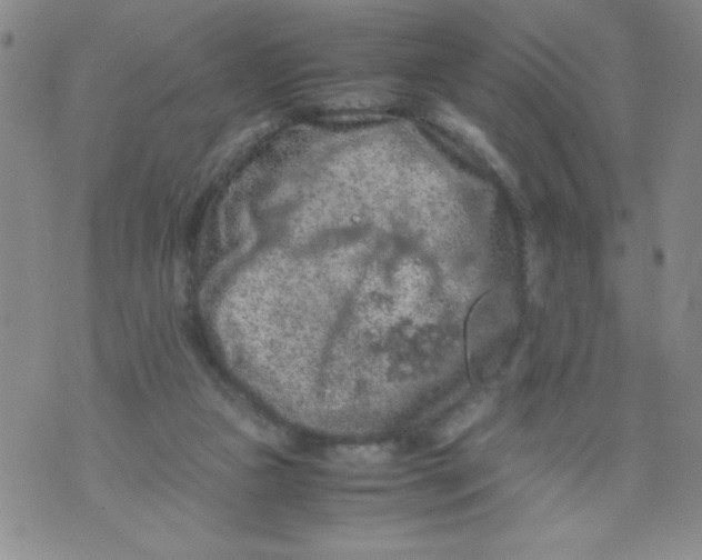 X0000072550161200608041657